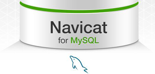 Navicat for MySQL 11注册码\激活码汇总”