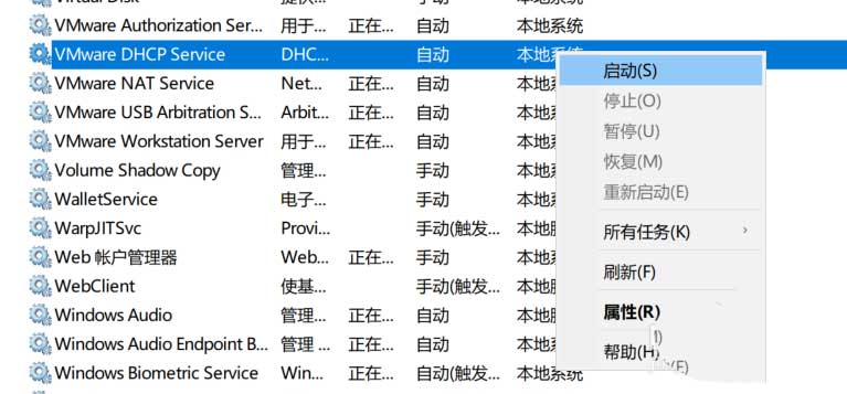 Win10中macos big sur虚拟机无法连接网络怎么办?