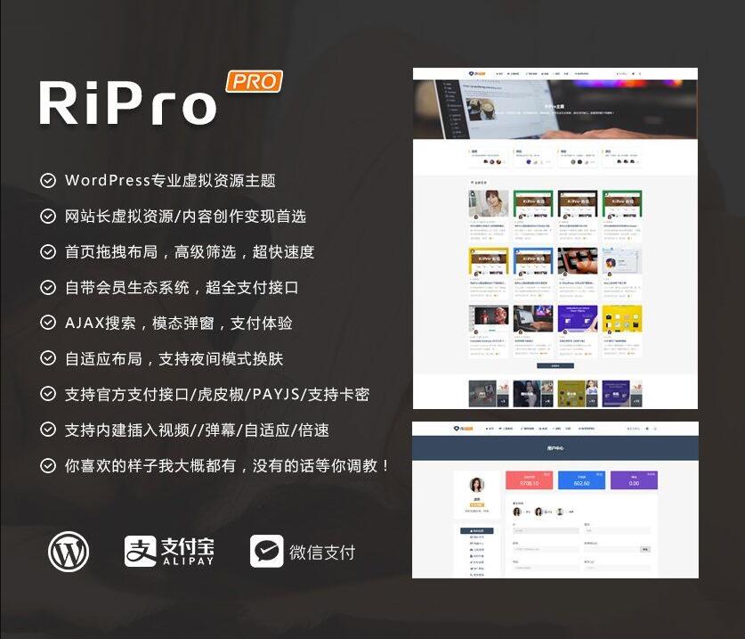 RIPro主题V7.2 (免授权修复后门完美版)