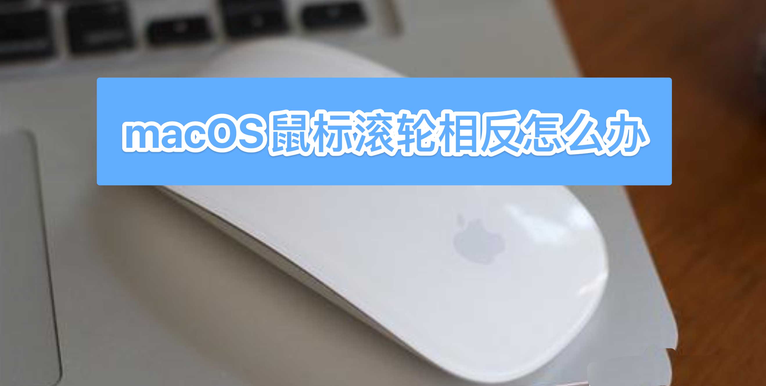 mac鼠标滚轮反了怎么设置? macOS鼠标滚轮方向相反的两种解决办法