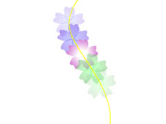 Animate怎么做花朵飘落动画效果? Animate飘落动画的制作方法