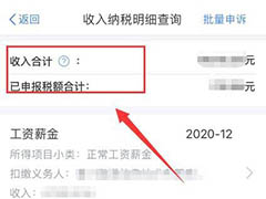 人所得税APP怎么查询2020年度个人收入纳税明细?