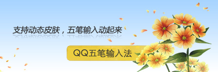 QQ五笔输入法下载 QQ五笔输入法 v2.4.629.400 纯净安装版
