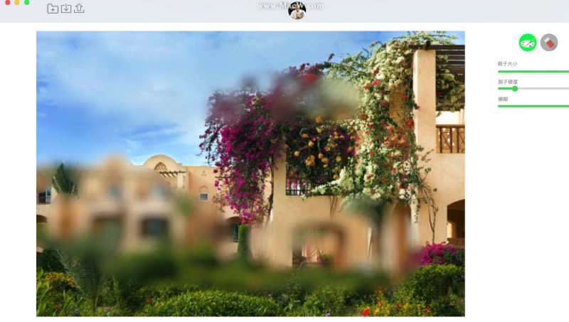 Touch Blur Mac汉化破解版下载 Touch Blur(图片智能模糊工具) for mac v3.5 中文安装破解版