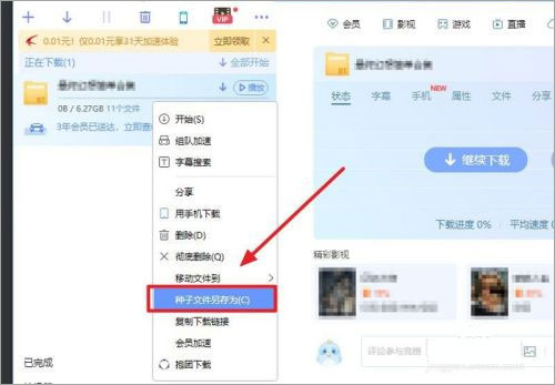 迅雷5.8下载 迅雷5.8版本无限制版免安装版(附使用教程)