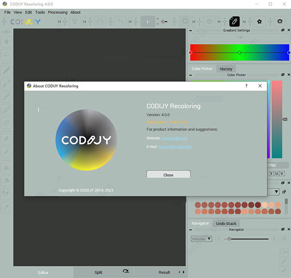 codijy colorizer pro破解版