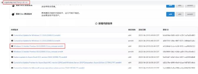 Windows11 ISO镜像下载 Windows11 v10.0.22000.51 ISO镜像预览版(支持苹果M1)