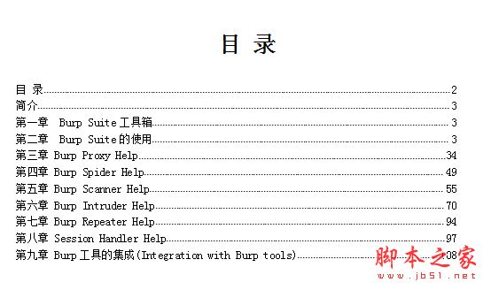 BurpSuite中文教程 使用手册 完整版word