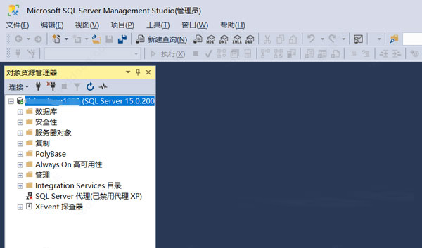 SQL Server 2019 Developer下载 Microsoft SQL Server 2019 Developer 多语言正式版(附安装教程) 