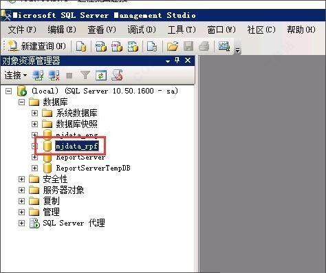 sql2008r2下载 SQL Server 2008 R2 v3.2.1 绿色免费j精简版(附使用教程)