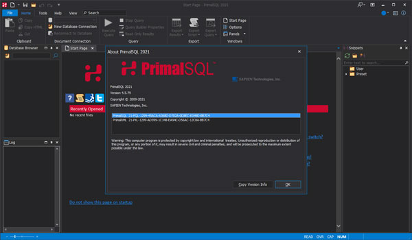 PrimalSQL 2021破解版