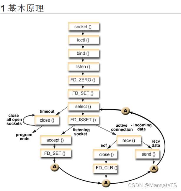 在這裡插入圖片描述