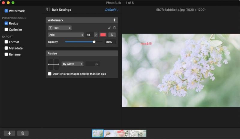 PhotoBulk中文激活版下载 苹果电脑图片批量去水印软件 PhotoBulk for Mac v2.6 汉化直装破解版