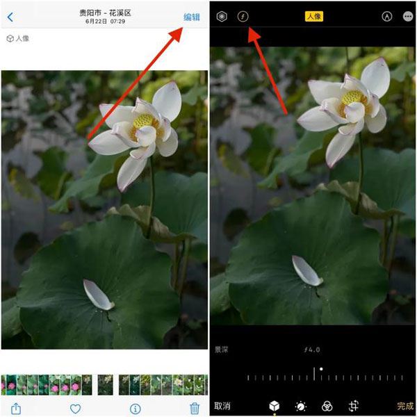 iphone拍照背景虚化怎么调 苹果手机相机设置背景虚化方法