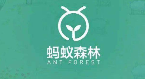 支付宝蚂蚁森林怎么帮好友收取能量?蚂蚁森林帮好友复活能量教程