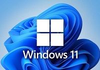 win11flash插件异常怎么办?win11flash运行异常问题修复失败解决方法