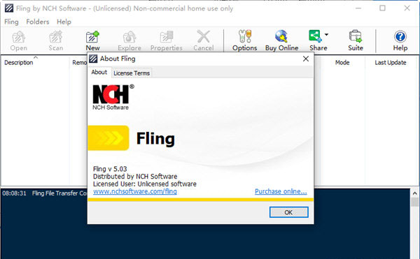 Fling by NCH Software