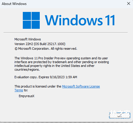 Windows 11 10.0.25217.1000