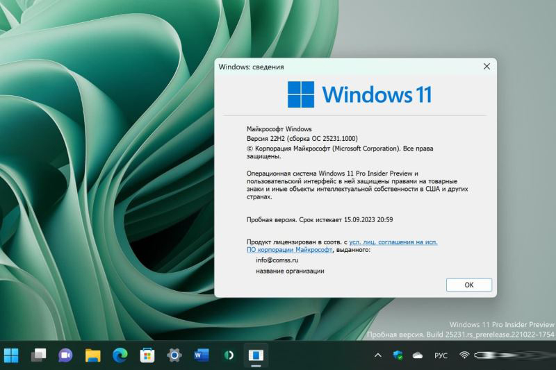 Windows 11 Insider Preview 25231.100