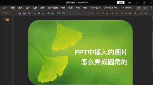 ppt如何做动图效果:PPT图片边角变成圆形的方法