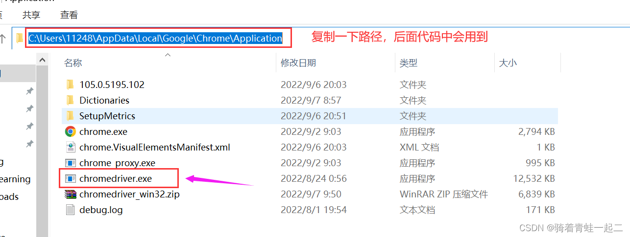 chromedriver.exe路径