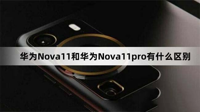 华为Nova11和华为Nova11pro区别对比介绍