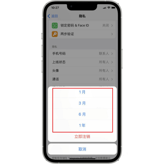 纸飞机中文版官方