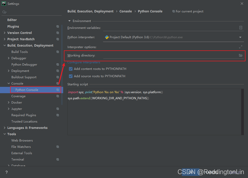 Python Console