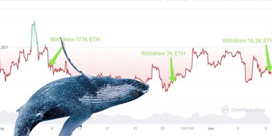 以太坊一度插针至1702美元！一巨鲸3个月囤币42800枚ETH