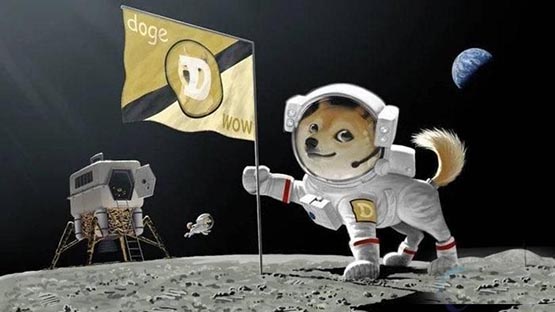 太空狗币在哪买？DOGZ/太空狗币上线交易所介绍