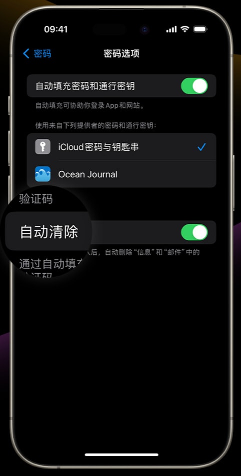 iOS 17 小技巧：支持自动清理 iPhone 验证码信息