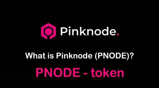 PNODE是什么币种？PNODE币官网和发行总量介绍