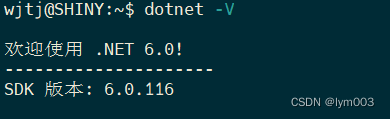 ASP.NET Core设置URLs的方法汇总(完美解决.NET 6项目局域网IP地址远程无法访问的问题)