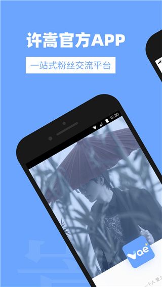 vae+最新版本下载