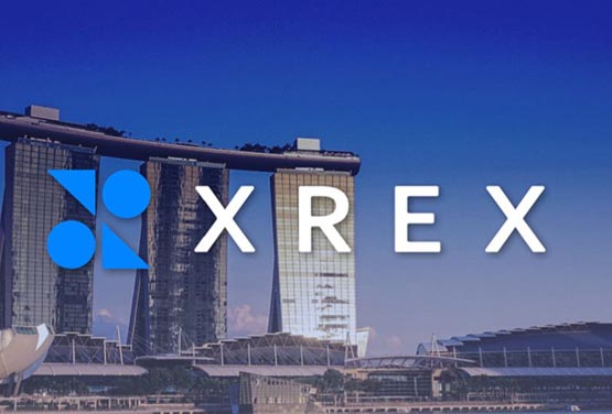 XREX获新加坡支付机构执照原则性批准！将扩大支持货币种类