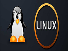 在Linux中如何卸载软件? 掌握强制卸载软件的技巧