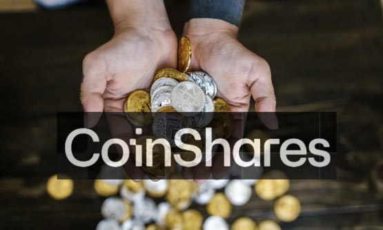 CoinShares：数字资产投资产品仍持续净流入！比特币仍主导市场