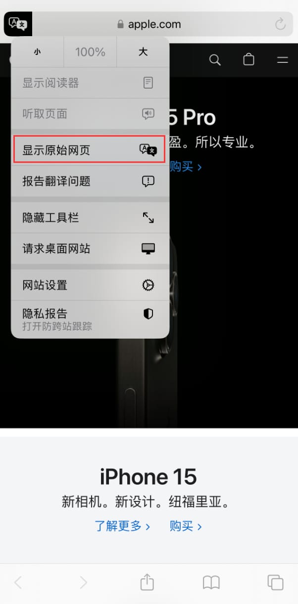 在 iPhone 上使用 Safari 浏览器翻译网页：可设置多种翻译语言