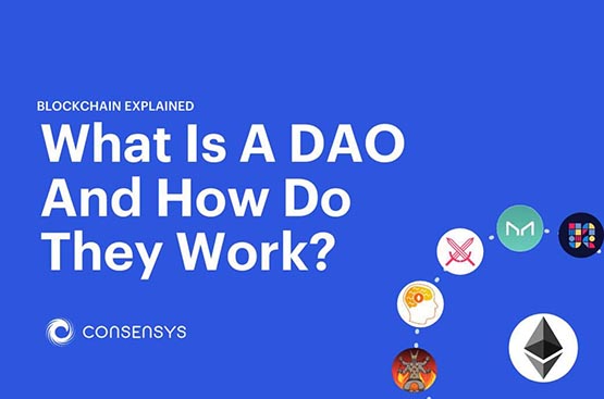 DAO组织的本质是什么？通俗解释DAO组织