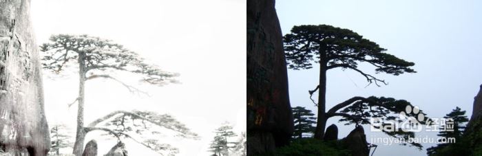 Photoshop调色实例：变换风光照片的季节