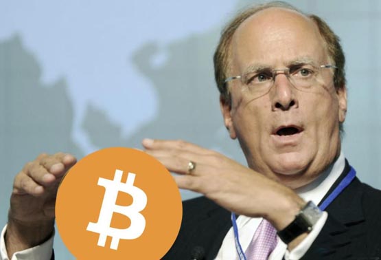 IBIT成贝莱德ETF资金流入功臣！Larry Fink：比特币是合法金融工具 是数字黄金