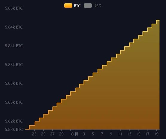 为何说萨尔瓦多、特朗普可能开启全球比特币军备竞赛？