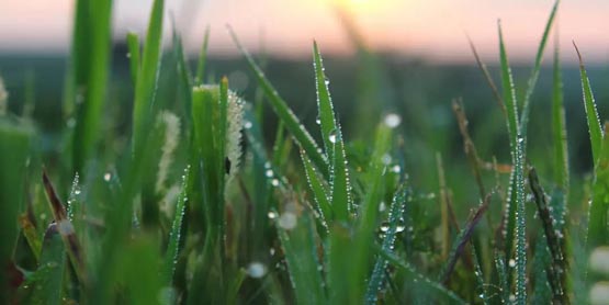 DePin项目Grass公布空投查询页面！因空投数量过少遭抵制