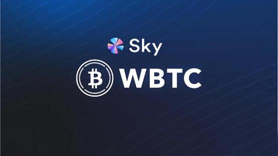 MakerDAO(现为SKY)宣布抛弃ＷBTC！WBTC供应量单月流出9600万美元