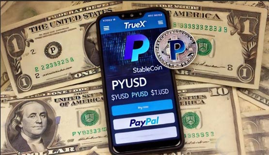 前Coinbase高管推出新交易所TrueX！主打PayPal稳定币PYUSD交易对