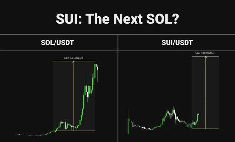 sui币价格、sui币价格预估