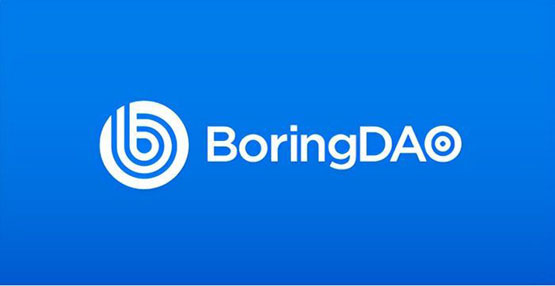 BORING是什么币种？一文了解BORING币前景