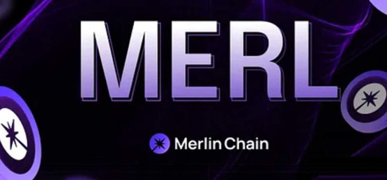 MERL币能涨到100元吗？MERL币未来价值预测