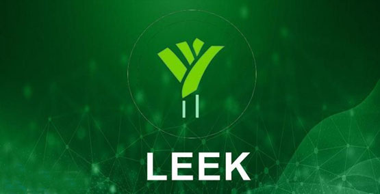 LEEK是什么币种？LEEK/韭菜币全面介绍