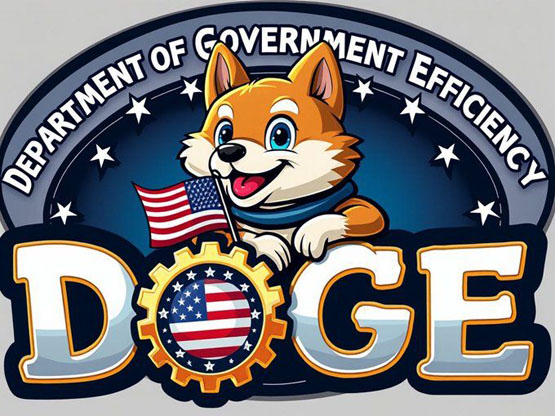 doge-doge网络语什么意思